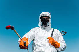 Emergency Pest Control in Marion, NC